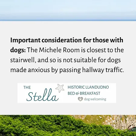 The Stella Historic Llandudno Bed & Breakfast Room photo