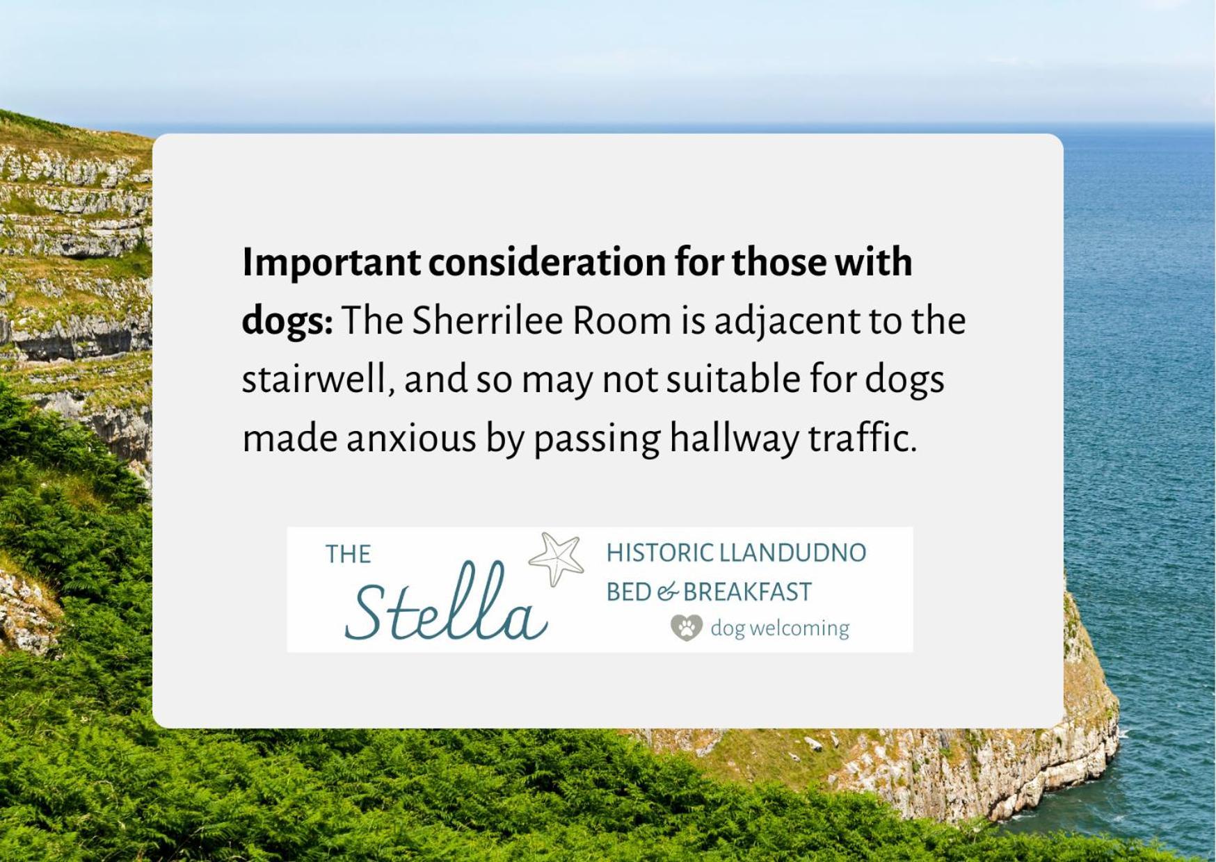 Bed & Breakfast The Stella Historic
