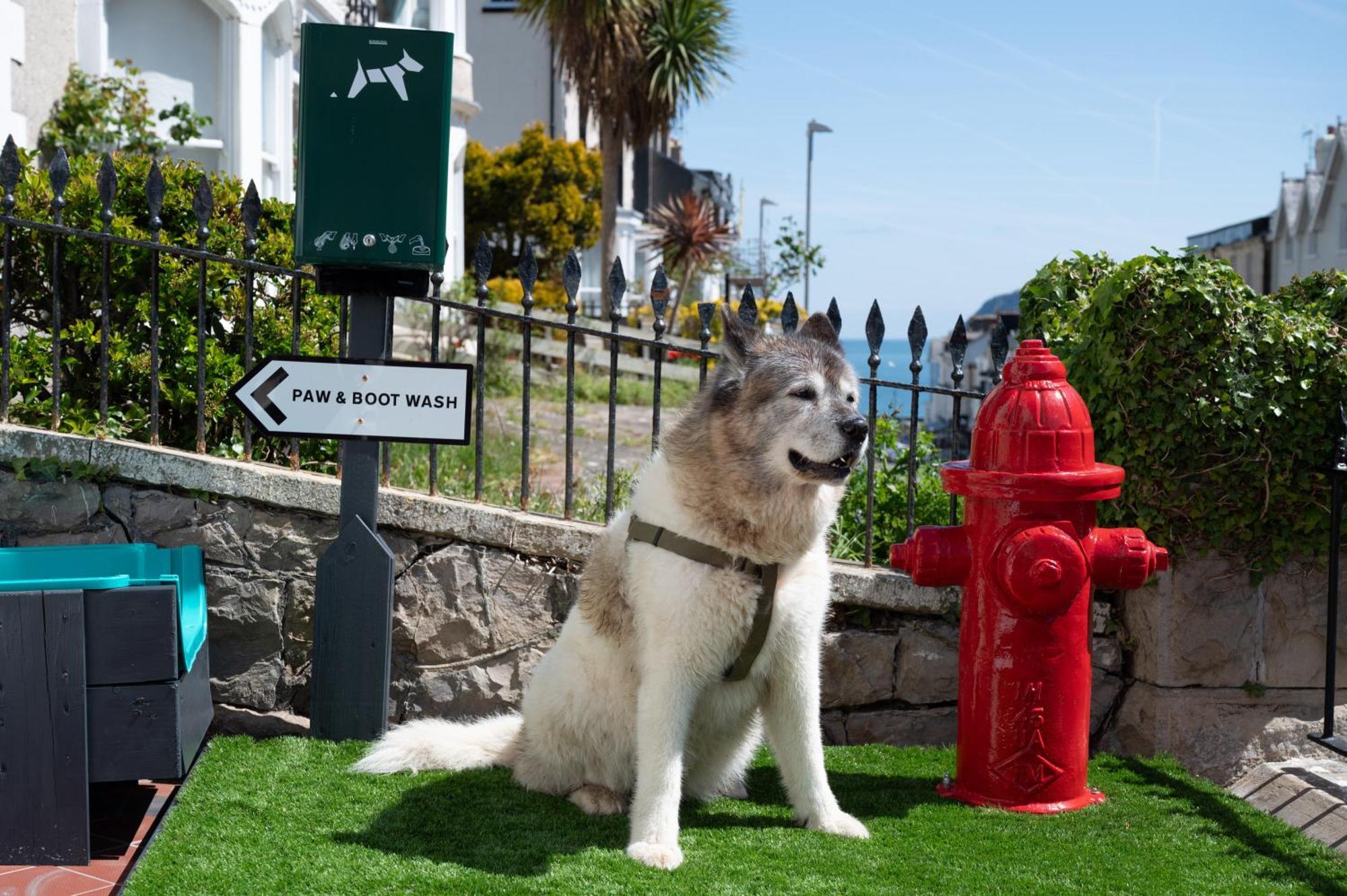 The Stella Historic 4* Llandudno